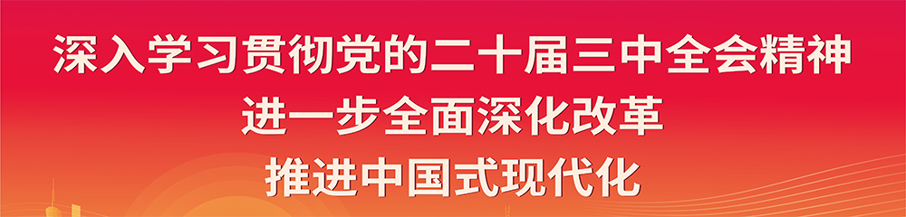 二十届三中全会1